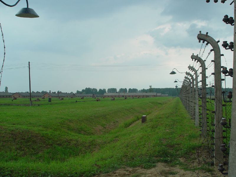 Birkenau fenceline 2